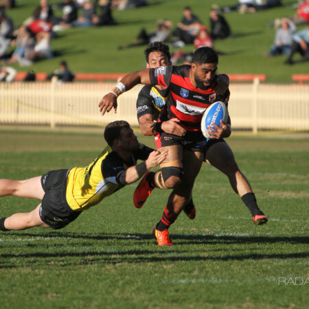 Image: A hard running Tautalatasi Tasi in the centres for the Bears - Intrust Super Premiership | Round 19 | North Sydney Vs Mt Pritchard | North Sydney Oval | 16/07/2017. Photo Ian Reilly.