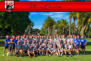 Image: Merry Christmas from the North Sydney Bears